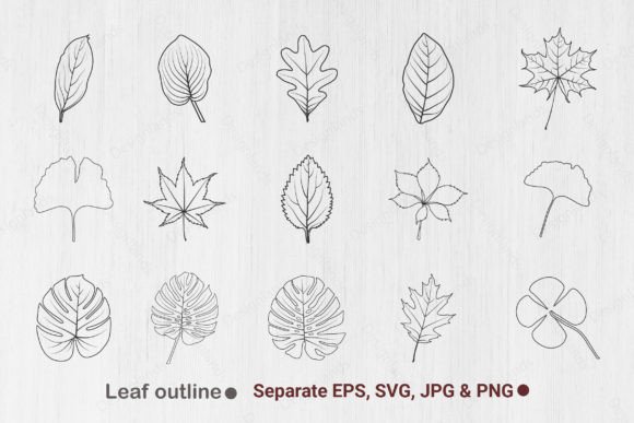 Download Leaf Outline, Leaves Line Art, Leaf Svg - Outline Collection