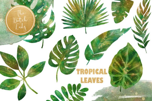 Download Tropical Jungle Leaves Clipart Set - Leaves clipart Collection