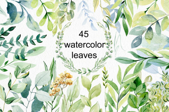 Download Watercolor Leaves Clipart. - Leaves clipart Collection